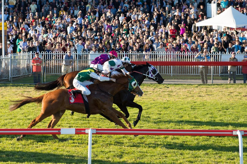 GIDDY UP: Party time is approaching with the Coffs Harbour Gold Cup carnival in sight. Photo: Trevor Veale GIDDY UP: Party time is approaching with the Coffs Harbour Gold Cup carnival in sight. Photo: Trevor Veale
